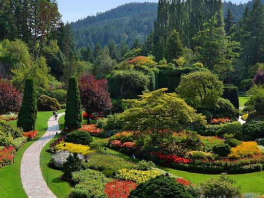 Butchart Gardens + Victoria City Tour